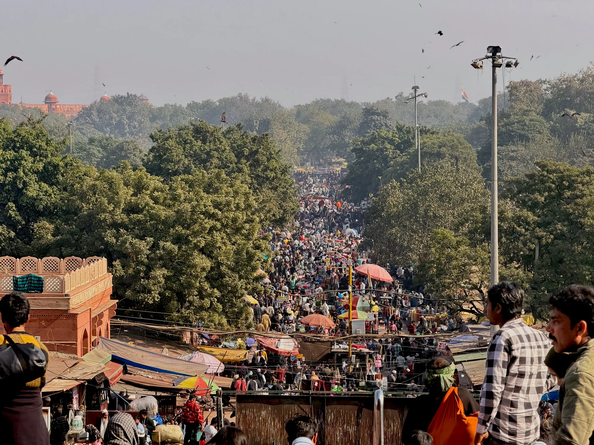 写真はインドのニューデリーで撮影されたもので、非常に多くの人々で賑わっている様子が写っています。画面奥に向かって道が伸びており、そこを埋め尽くすように人々が歩いています。道の両側には木々が生い茂り、その奥には赤い建造物が見えます。手前には建物の屋上のような場所があり、そこから景色を眺めていると思われる人々の姿が写っています。屋根付きの露店のようなものも見え、活気のある市場の雰囲気が伝わってきます。空には鳥が飛び交い、全体的に少し霞がかったような空気感が感じられます。人々の服装は様々で、伝統的な衣装を着ている人もいれば、現代的な服装をしている人もいます。道の賑わいと、背景の緑や歴史的な建造物とのコントラストが印象的な写真です。