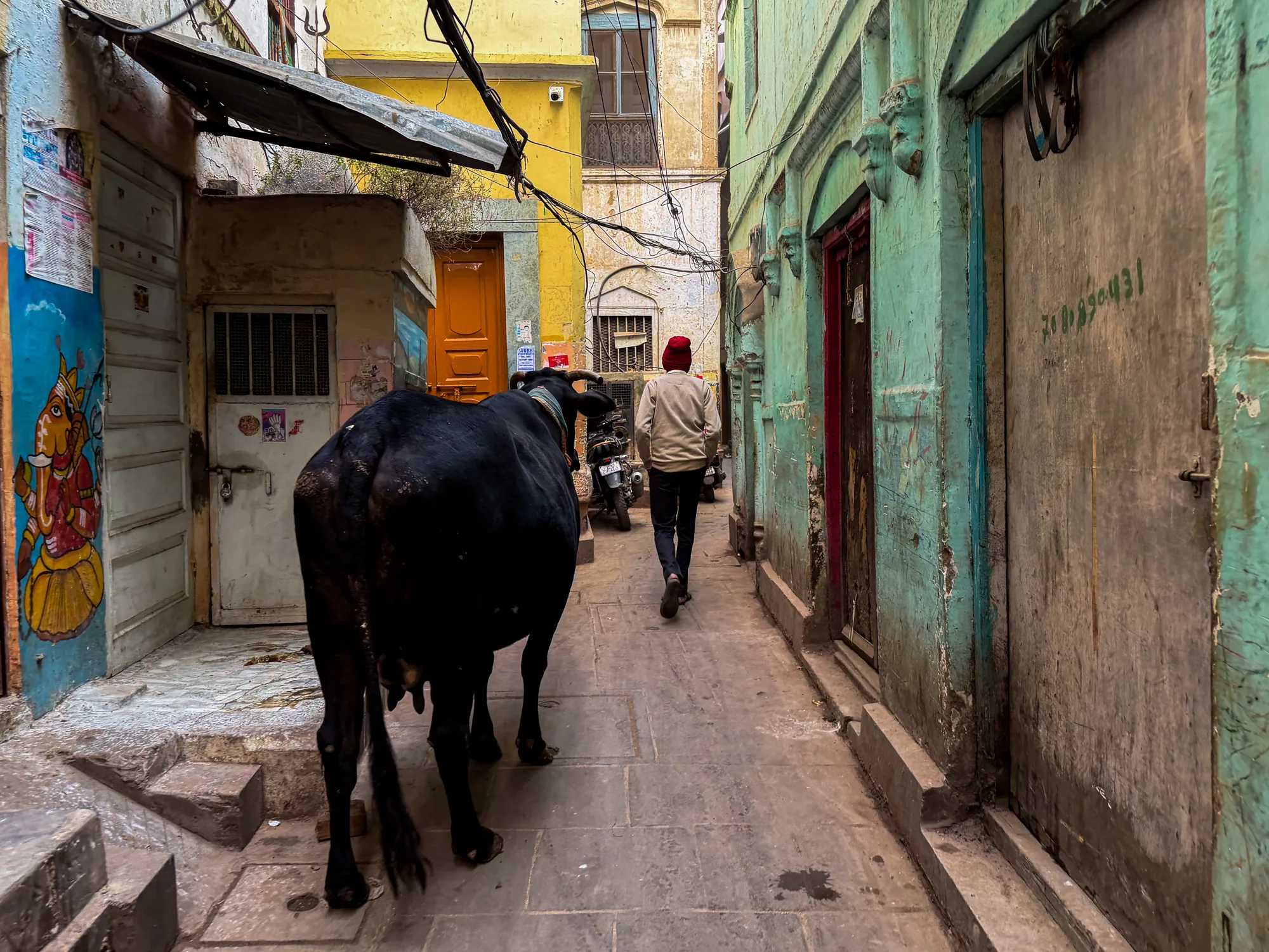 インドのバラナシで撮影された写真です。狭い路地を、大きな黒い牛と赤い帽子をかぶった男性が歩いています。路地の両側には、古びた建物が立ち並んでいます。左側の建物にはガネーシャ神の絵が描かれた壁があり、右側の建物は剥がれかけた水色の壁が特徴的です。路地には石畳が敷かれており、生活感のある雰囲気が漂っています。奥にはバイクが停められており、電線が複雑に張り巡らされています。全体的にくすんだ色彩で、歴史を感じさせる光景が捉えられています。