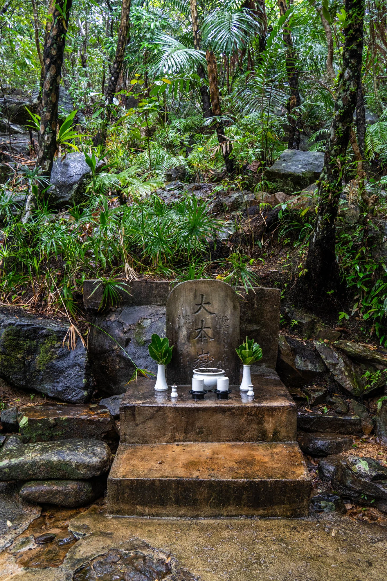 写真は日本の石垣島で撮影されたもので、鬱蒼とした緑の中に佇む墓石が写っています。墓石には漢字で「大本」と刻まれており、その手前には白い花瓶に生けられた緑の葉、お供え物と思われる白い器が並んでいます。地面や墓石は雨に濡れており、周囲の岩や木々も湿った様子です。背景には熱帯植物が生い茂り、深い森であることが分かります。全体的に静かで神秘的な雰囲気が漂っており、自然と信仰が共存する日本の風景を感じさせます。