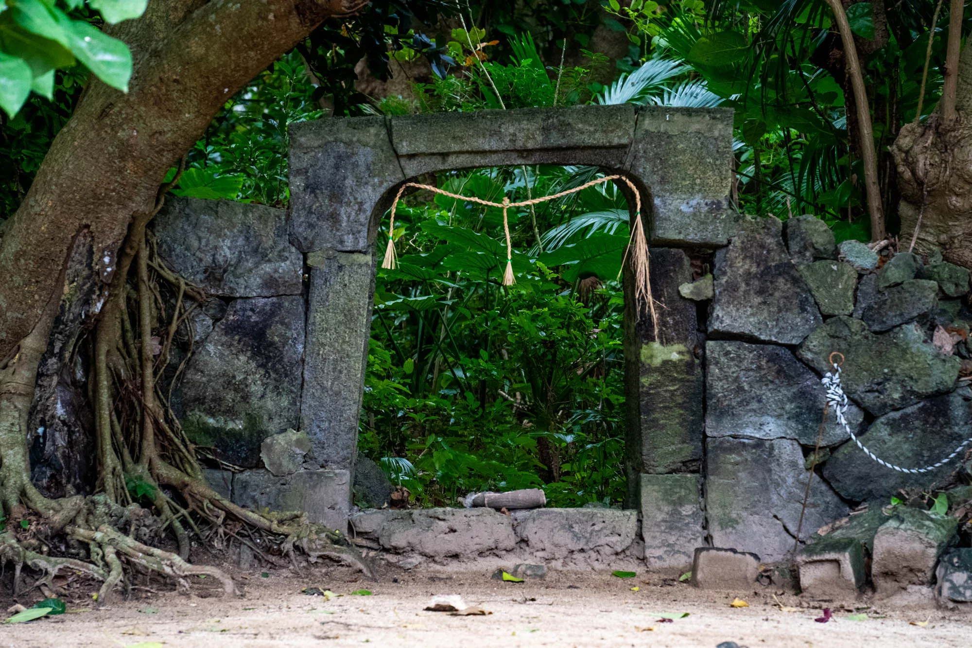 写真には、石垣島の鬱蒼とした緑の中に佇む、石造りの古い門が写っています。門の左右には、石積みの壁があり、左側の壁には大きな木の根が絡みついています。門の上部には、藁で編まれた注連縄がかけられており、神聖な場所であることを示唆しています。門の奥は深い緑が生い茂っており、神秘的な雰囲気を醸し出しています。地面は砂地で、落ち葉が散らばっています。全体的に静かで神聖な雰囲気が感じられ、自然と歴史が調和した空間であることがわかります。