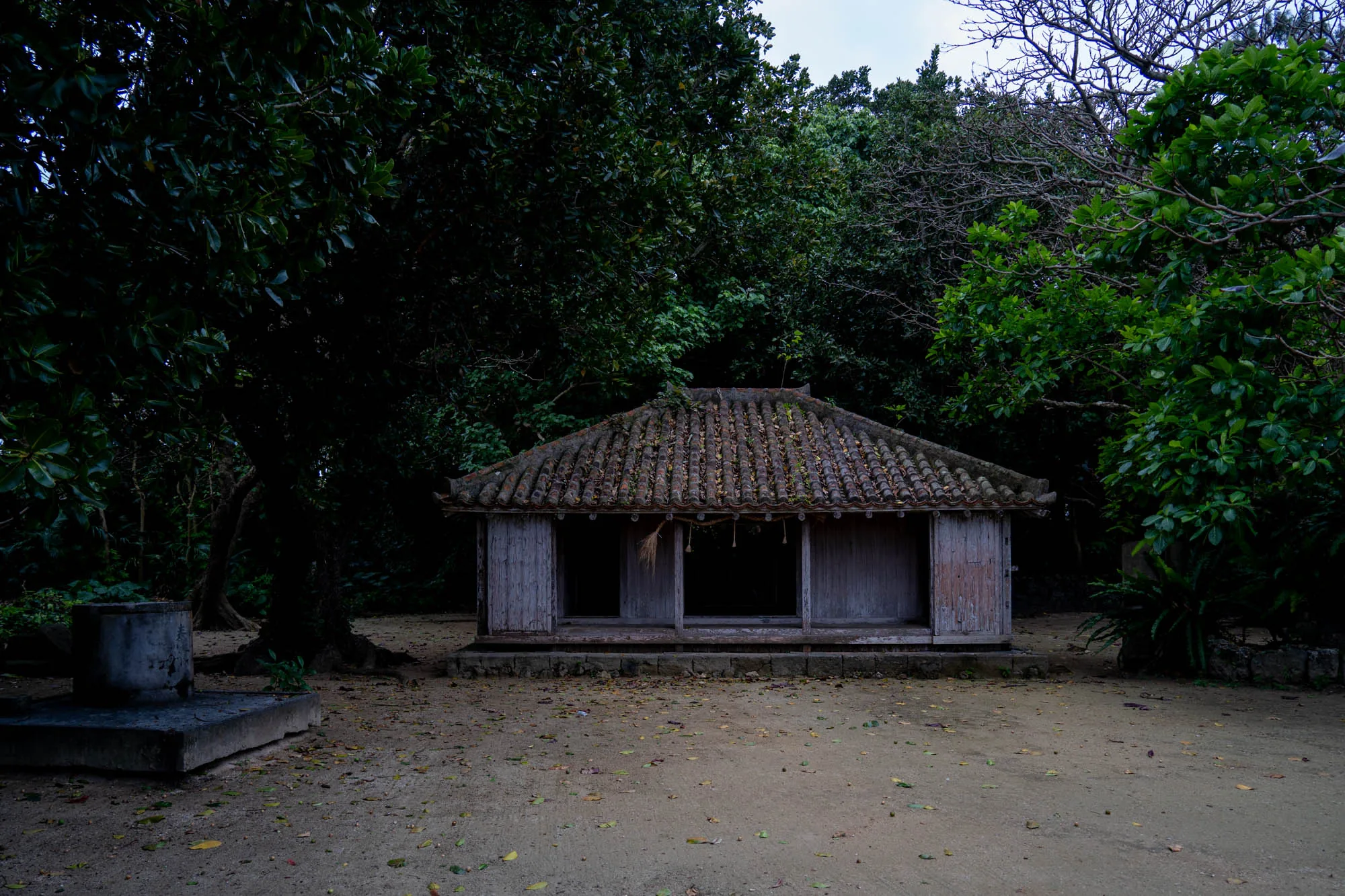 写真は日本の石垣島で撮影されたもので、鬱蒼とした緑に囲まれた古民家が写っています。屋根は赤瓦で、苔や落ち葉が堆積し、長い年月を経たことが伺えます。壁や柱は木製で、風雨に晒され、色褪せている部分も見られます。建物は地面に直接建てられているようで、周囲は砂地の庭になっており、落ち葉が散らばっています。建物の前に石造りの井戸のような構造物があり、その歴史を感じさせます。全体的に静かで落ち着いた雰囲気で、時間の流れを感じさせる一枚です。周囲の木々は生い茂り、少し薄暗い印象を与えます。