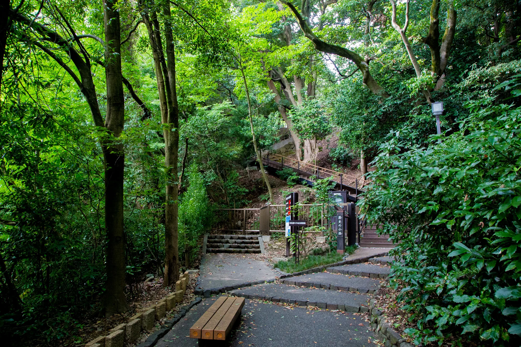 写真は日本の金沢で撮影されたもので、緑豊かな小道の風景を捉えています。画面中央には石畳の道が奥へと続いており、その脇には木製のベンチが置かれています。道の先には階段があり、上へと続いています。階段の横には案内板のようなものが立っており、日本語で文字が書かれているのが見えます。  周囲は豊かな緑に覆われており、様々な種類の木々や植物が生い茂っています。木漏れ日が差し込み、静かで落ち着いた雰囲気を醸し出しています。全体的に、日本の庭園や公園で見られるような、手入れの行き届いた自然の美しさを感じさせる写真です。道の状態から、ここは人々に親しまれている散策路であることが伺えます。