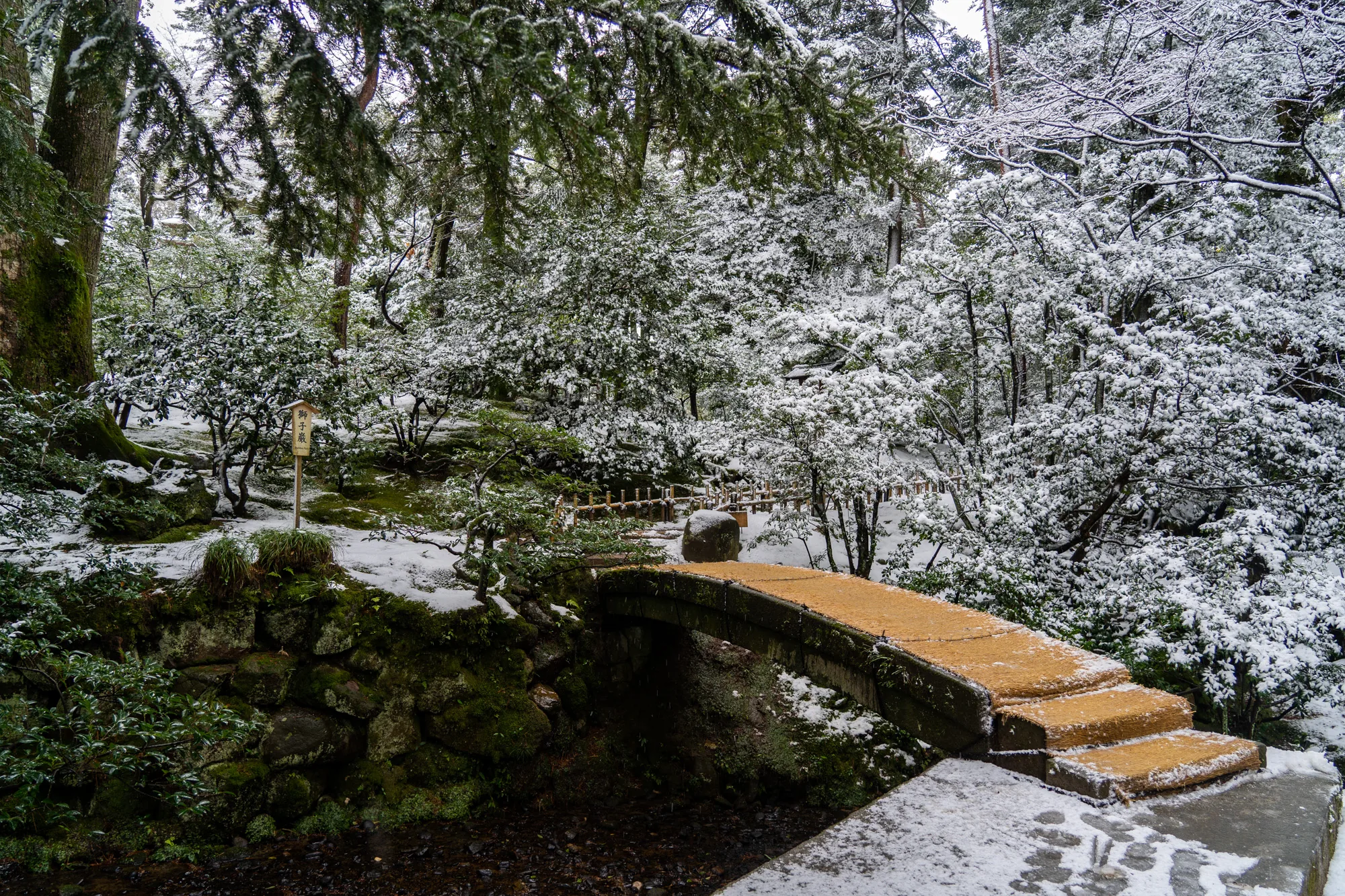 写真は日本の石川県金沢市にある兼六園の雪景色を捉えたものです。石造りの苔むした橋が手前にあり、橋の表面は藁のようなもので覆われています。橋の周りの木々や地面は雪に覆われており、冬の静寂と美しさを感じさせます。木の枝には雪が積もり、白と緑のコントラストが美しいです。小川が橋の下を流れ、水面は暗い色をしています。全体的に、日本の伝統的な庭園の風景に雪が加わり、侘び寂びの美しさを表現した写真です。