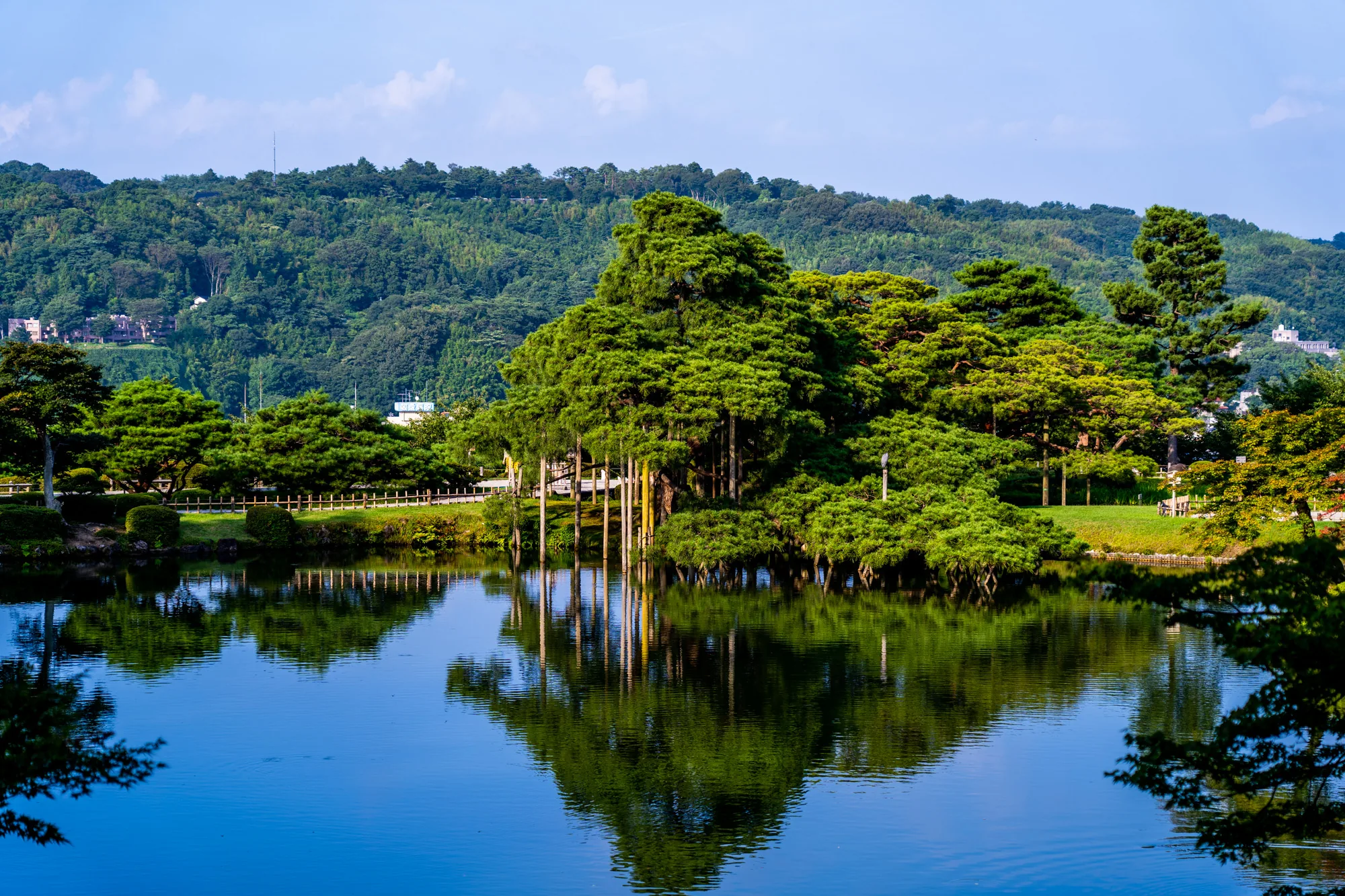 写真は日本の金沢で撮影された庭園の風景です。穏やかな水面が広がり、濃い青色をしています。水面には周囲の木々の緑が鮮やかに映り込み、静寂な雰囲気を醸し出しています。水辺の縁には、丁寧に手入れされた松などの木々が立ち並び、独特の形状と緑色が印象的です。特に、幹が数本に分かれて支えられている木が目を引きます。背景には、緑豊かな丘陵地帯が広がり、木々の間から建物の一部が覗いています。空は晴れており、明るい日差しが全体を照らしています。全体的に、日本の伝統的な美意識を感じさせる、落ち着いた風景写真です。