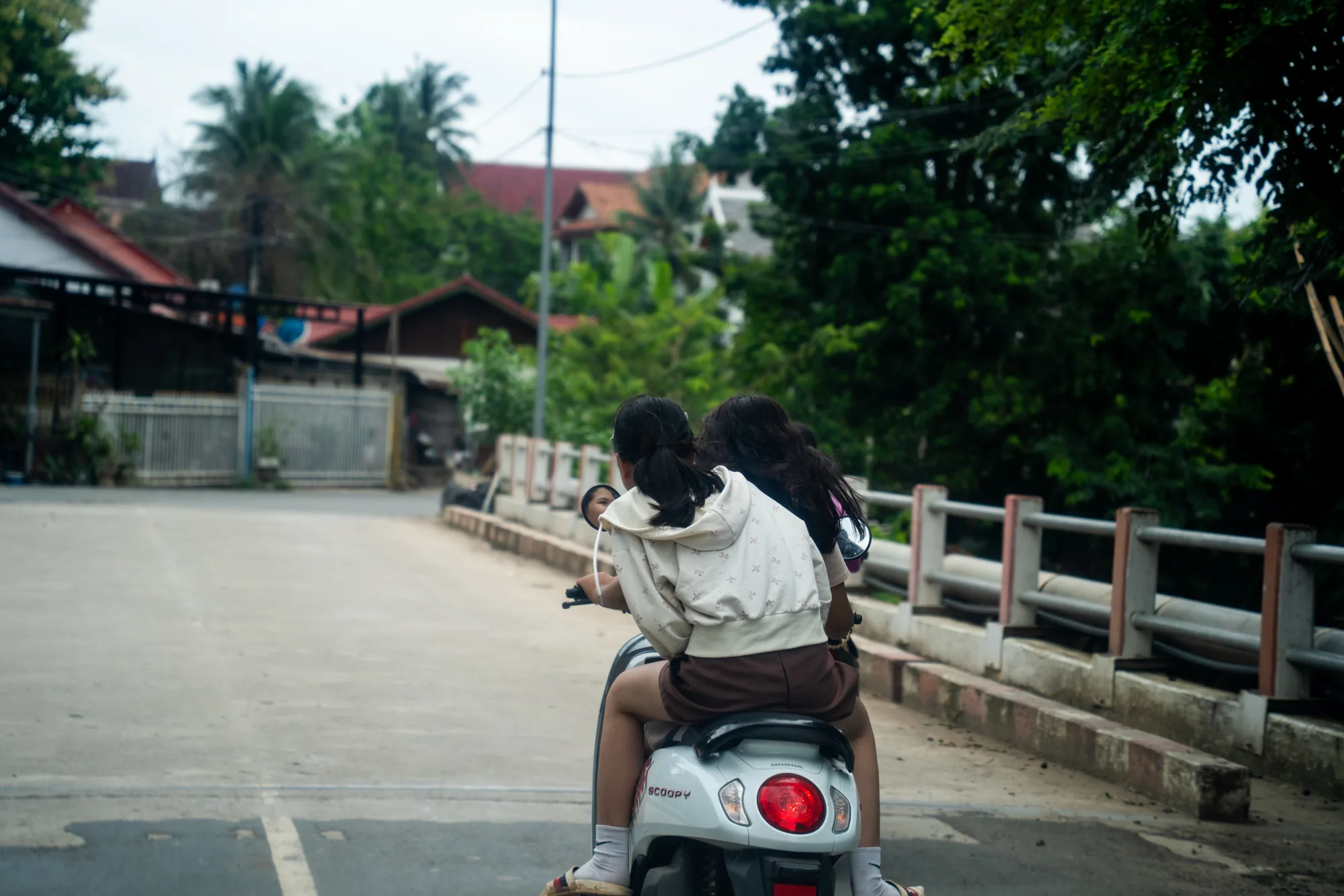 写真はラオスのルアンパバーンで撮影されたもので、橋の上を走るスクーターの後ろ姿を捉えています。スクーターには若い女性が2人乗り、運転手はポニーテールにし、白っぽい柄のパーカーと茶色のショートパンツ、白い靴下を着用しています。後ろに乗る女性は長い黒髪で、ピンク色のショルダーバッグを背負っています。  スクーターはホンダのスクーピーのようで、テールランプが赤く光っています。橋の欄干はコンクリート製で、道路は灰色のアスファルト舗装です。背景には緑豊かな木々が生い茂り、屋根瓦の家々が点在しています。熱帯の植物と思われるヤシの木も確認できます。全体的に穏やかで、ルアンパバーンの日常を切り取ったような風景です。