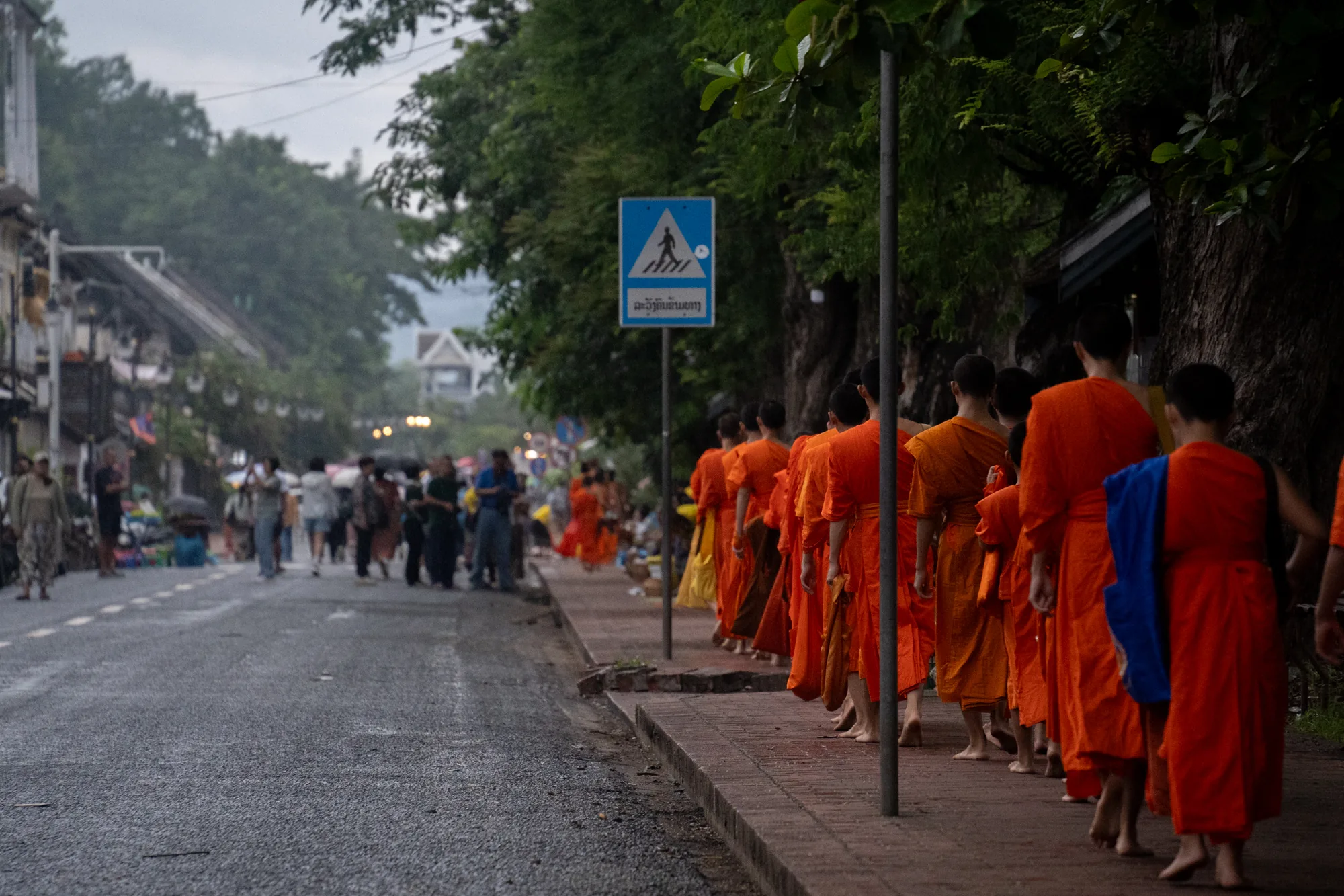 この写真はラオスのルアンパバーンで撮影されたもので、敬虔な托鉢の様子が写し出されています。早朝と思われる時間帯で、やや曇り空の下、オレンジ色の袈裟をまとった僧侶たちが一列に並び、静かに歩道を進んでいます。僧侶たちの後ろ姿からは、厳粛な雰囲気と静謐さが感じられます。彼らは皆裸足で、粛々と歩いています。  歩道の脇には街路樹が植えられ、その向こうには古い建物が並んでいます。建物の向こうには緑豊かな木々が生い茂り、その奥には山々が霞んで見えます。道路には人々が歩いており、中には僧侶たちに喜捨をするために並んでいる人もいるようです。写真全体は落ち着いた色調で統一されており、ルアンパバーンの静かで穏やかな日常が伝わってきます。左側には道路標識が立っており、白地に青色で歩行者のマークが描かれています。