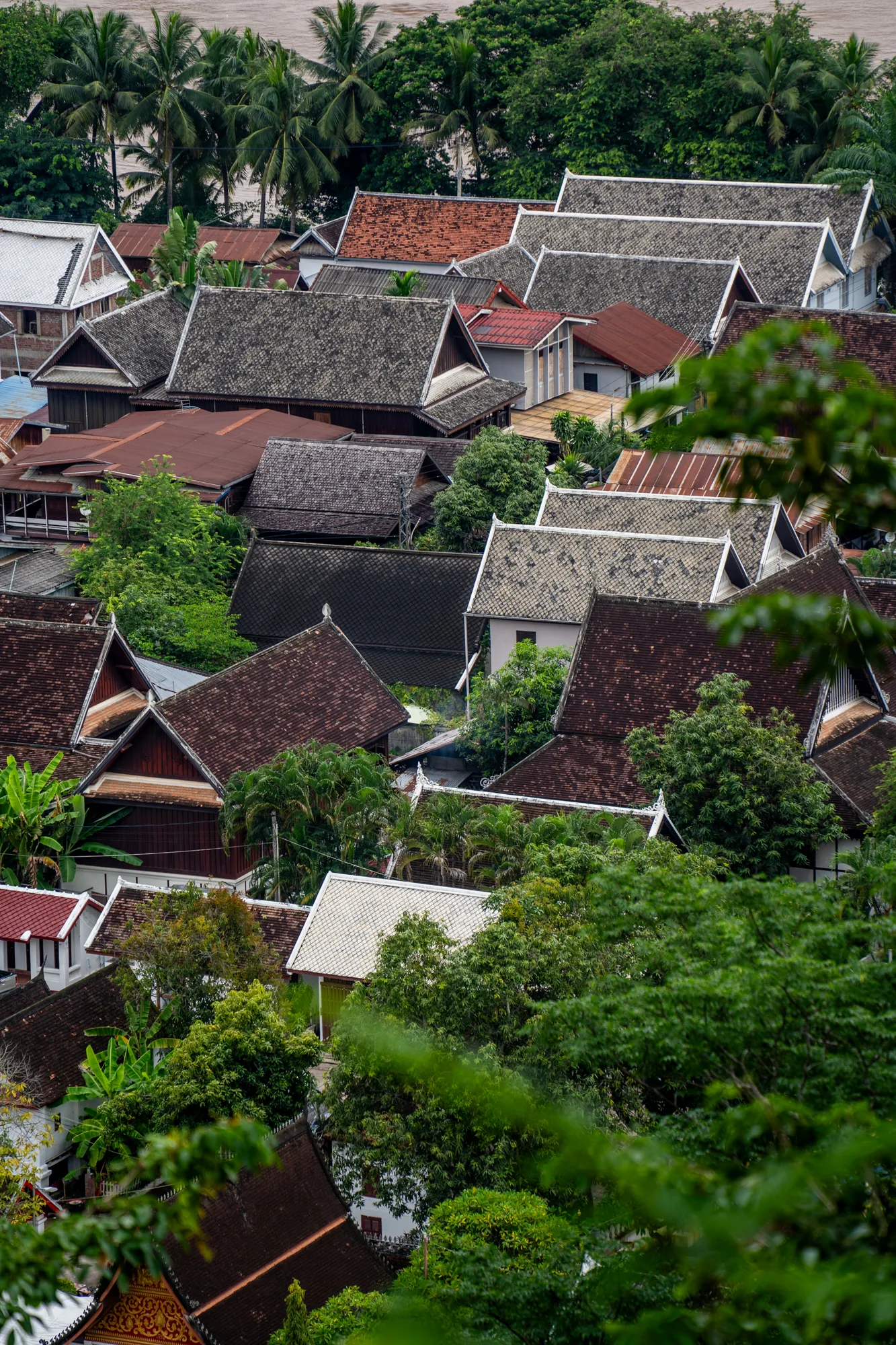 この写真は、ラオスのルアンパバーンで撮影された街並みの風景を捉えています。写真全体は、高所から見下ろした視点で、家々の屋根が密集して重なり合っている様子が印象的です。屋根の色は、赤茶色、灰色、白など様々で、素材も瓦や金属など、いくつかの種類が見られます。これらの屋根は、伝統的な家屋の特徴を反映していると考えられます。  家々の間や周囲には、緑豊かな木々が生い茂っており、特にココナッツの木が点在しているのが目を引きます。これらの植物は、街の自然な景観を強調し、穏やかな雰囲気を醸し出しています。写真の背景には、川らしき水面と緑の木々が見え、ルアンパバーンが豊かな自然に囲まれた場所であることが分かります。  全体として、この写真は、ルアンパバーンの歴史的な建築物と自然が調和した美しい景観を捉えており、静かで平和な街の雰囲気を伝えています。