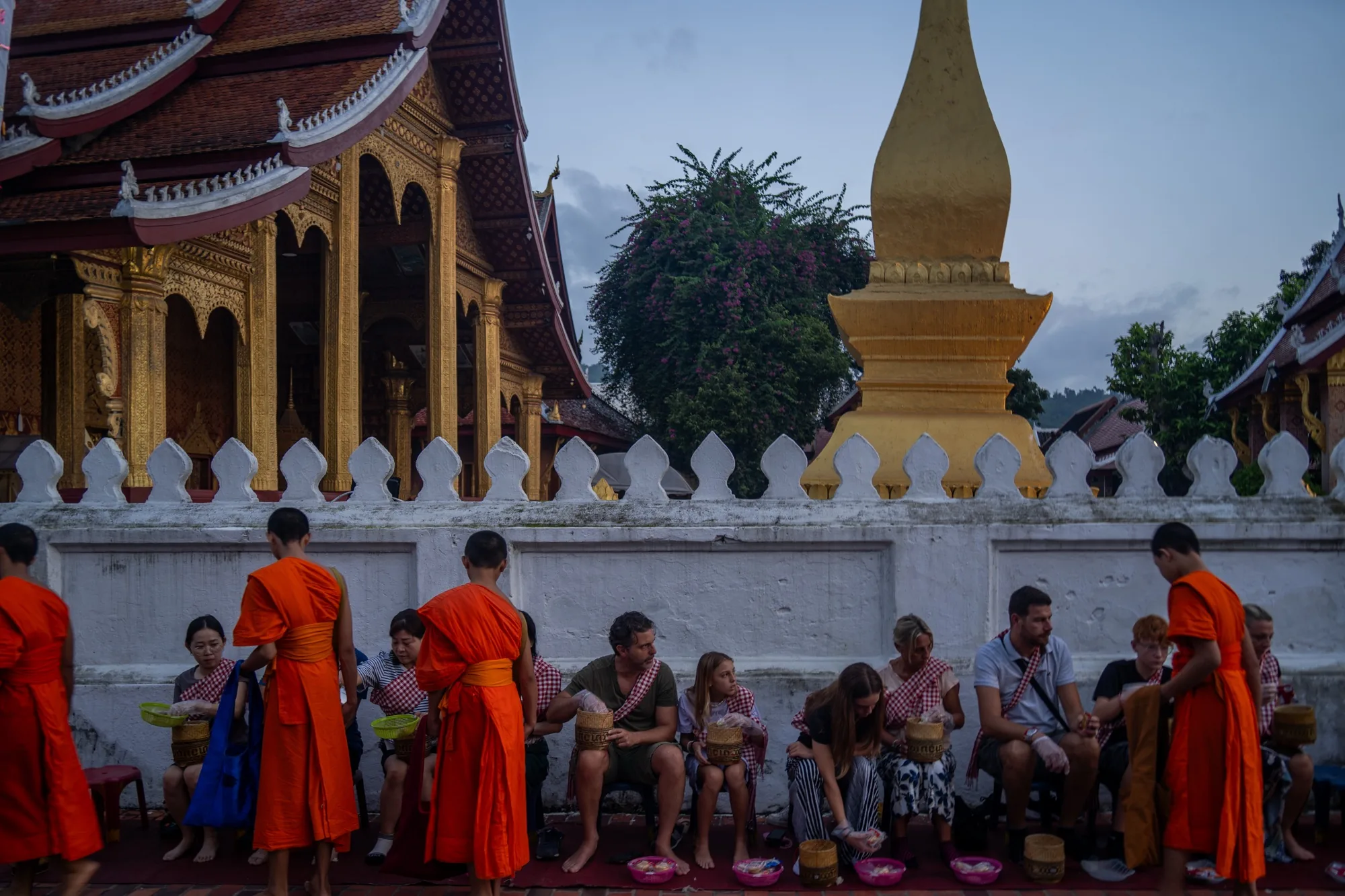 写真はラオスのルアンパバーンで撮影されたものと思われます。早朝の時間帯で、空はまだ薄暗いです。画面奥には、豪華な装飾が施された仏教寺院が聳え立っています。寺院の壁は白色で、上部には金の装飾が施されています。その隣には、先端が尖った黄金色の仏塔がそびえ立っており、寺院の神聖な雰囲気を際立たせています。  写真の中央には、オレンジ色の袈裟を身につけた若い僧侶たちが列をなして歩いています。彼らは、寺院の壁際に腰掛けている人々に、食べ物を施しを受けています。人々は小さな籠や鉢を持っており、僧侶たちから食べ物を受け取っている様子が伺えます。中には観光客と思われる人々も混じっており、伝統的な儀式に静かに参加しているようです。  全体的に、写真からは静かで神聖な雰囲気が伝わってきます。早朝の光と影のコントラストが美しく、ルアンパバーンの伝統的な風景を捉えた一枚と言えるでしょう。
