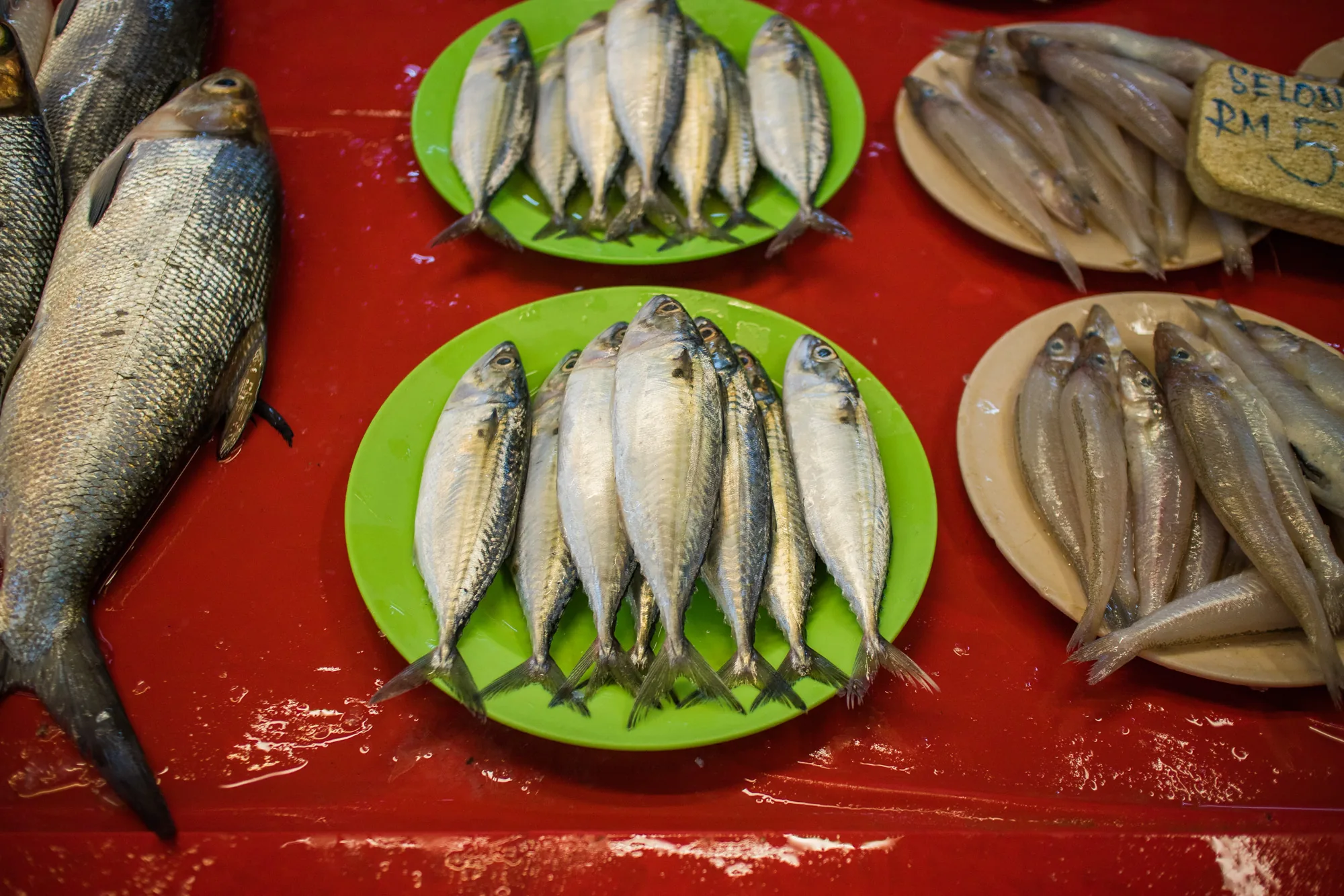 これはマレーシアのクアラルンプールで撮影された写真です。写真には、様々な種類の魚が並べられています。背景は鮮やかな赤色の台で、水滴が散見されます。魚は緑色とベージュ色のプラスチック皿に盛り付けられており、鮮魚市場の活気ある雰囲気を伝えています。左側には大きめの魚が並び、中央には中型の魚が、右側には小さめの魚がそれぞれ複数匹ずつ整然と並べられています。手前の魚は特に鱗の模様が鮮明で、新鮮さが伝わってきます。手書きの値段表示も見られ、ローカルな市場の様子が伺えます。全体的に、魚の新鮮さと市場の賑わいが感じられる写真です。