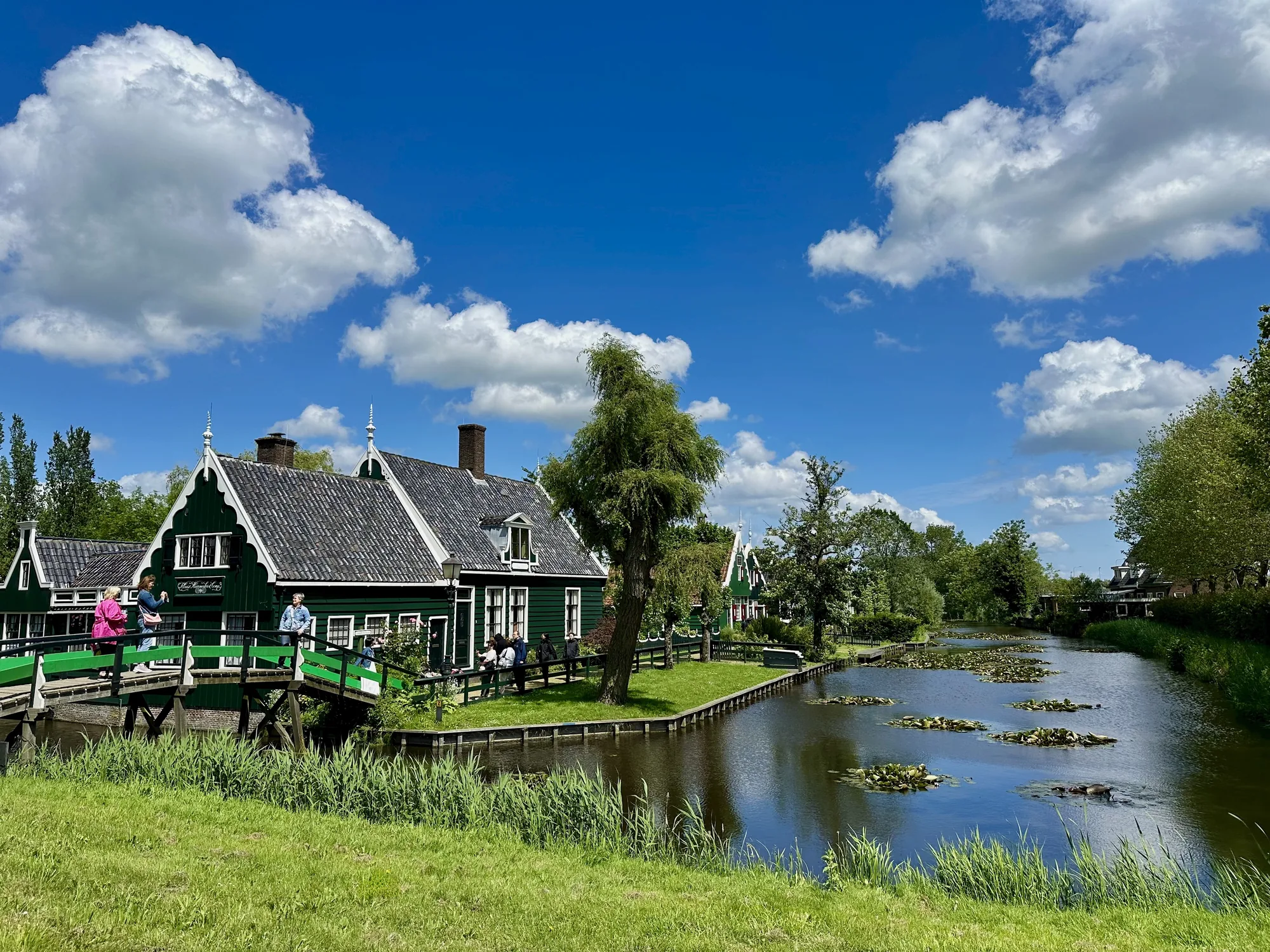 写真は、オランダのアムステルダム近郊の風景を捉えています。青い空には白い雲が浮かび、日差しが明るいです。画面左側には緑色の木造家屋が並び、典型的なオランダの家並みが表現されています。家々の前には水路があり、水面にはスイレンの葉が浮かんでいます。水路の向こうには緑の草地が広がり、のどかな田園風景が広がっています。橋の上には観光客らしき人々がおり、風景を眺めたり写真を撮ったりしています。全体的に、穏やかで平和な雰囲気が感じられます。