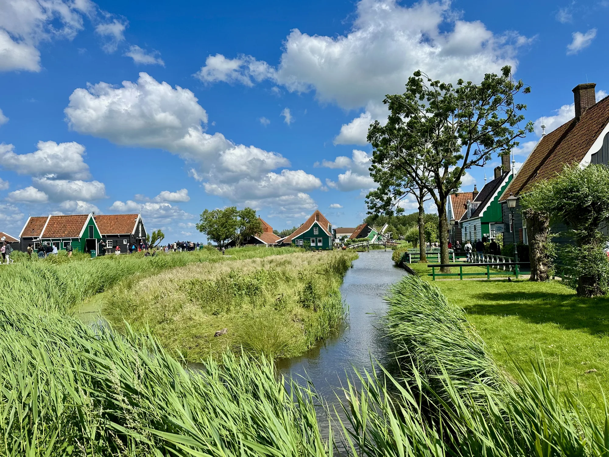 写真はオランダのアムステルダム近郊で撮影されたものと思われます。青い空に白い雲が浮かぶ明るい日差しの中、運河と伝統的な家々が特徴的な風景が広がっています。運河の縁には緑豊かな草が生い茂り、水面には空と雲が反射しています。遠くには、赤い屋根と緑色の壁を持つ伝統的なオランダの家々が並び、観光客らしき人々が集まっています。家々の間には風車の一部が見え、オランダらしい雰囲気をさらに高めています。全体的に、のどかで美しい、絵葉書のような風景です。
