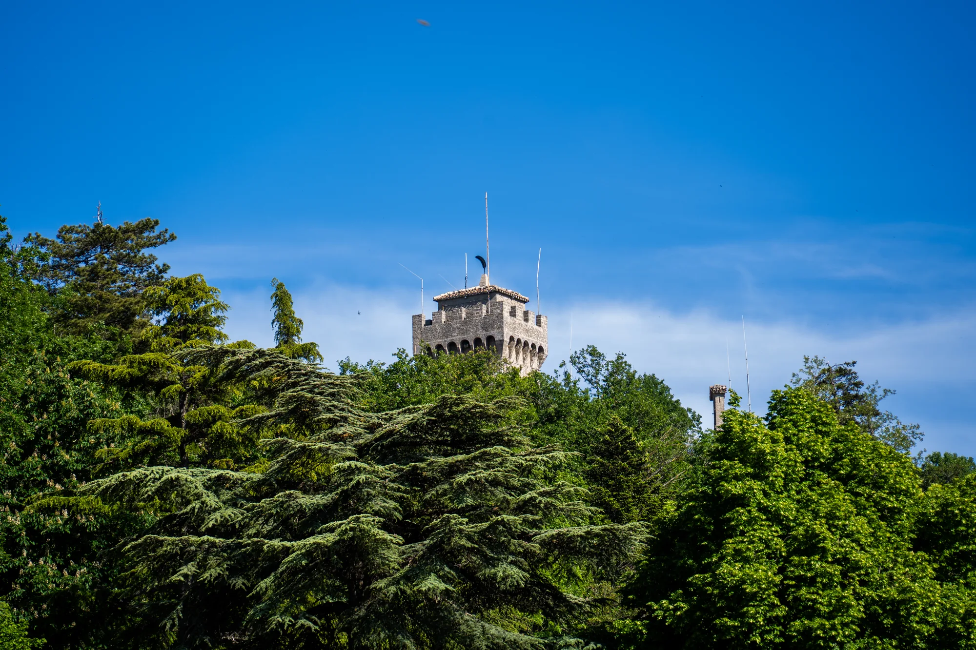 写真は、サンマリノで撮影されたと思われる、要塞の塔を捉えたものです。画面奥には青空が広がっており、いくつかの小さな雲が漂っています。写真の中央には、石造りの塔が立っており、その上には旗が掲げられています。塔の周囲は緑豊かな木々で覆われており、自然と歴史的な建造物が調和した風景を作り出しています。画面全体は明るく、爽やかな印象を与えます。遠くに小さな鳥が飛んでいるのが見えます。