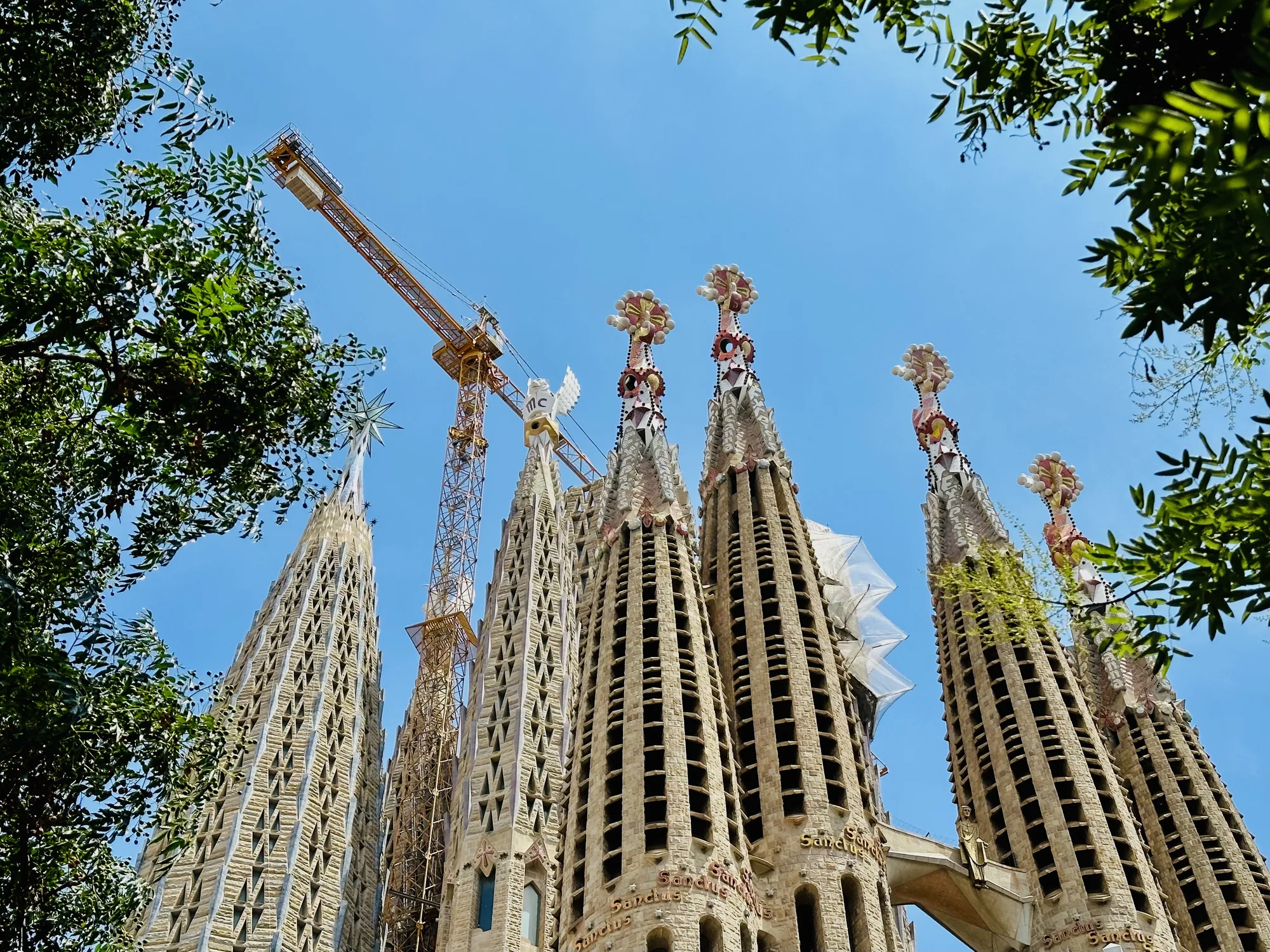 スペインのバルセロナで撮影された、サグラダファミリアの尖塔群を見上げた写真です。青空を背景に、石造りの重厚な塔がそびえ立っています。塔の頂上には装飾が施され、その一部は修復中なのか白いシートで覆われています。塔の合間には建設用のクレーンが設置されており、建設が現在も進行中であることが分かります。画面の左右には緑豊かな木の葉が写り込み、都会の中の自然を感じさせる構図となっています。全体的に明るく、壮大な建築物の力強さと、建設現場の活気が伝わってくる写真です。