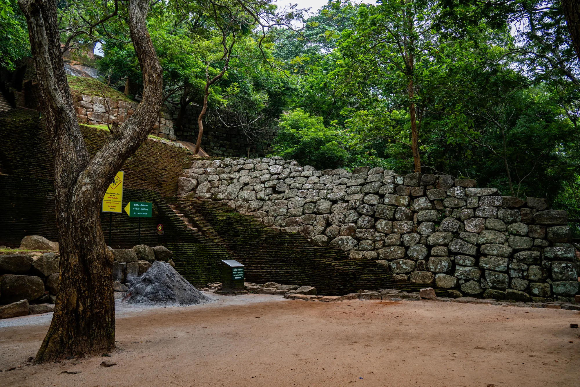 スリランカで撮影された写真です。鬱蒼とした緑に囲まれた場所に、古代の遺跡の一部が残っています。写真は、赤茶色の土の地面と、画面左側にそびえ立つ幹が特徴的な木を中心に構成されています。木の奥には、苔むした煉瓦造りの階段が続いており、さらに奥には石垣が見えます。石垣は、自然の岩を積み重ねて作られており、時間の経過を感じさせる風合いです。画面中央には、砂利のようなものが積み上げられた山があります。階段の近くには、案内板のようなものがあり、現地の言語と英語で何か書かれているようです。全体的に、静寂と歴史を感じさせる風景です。木漏れ日が差し込み、遺跡の静けさを際立たせています。