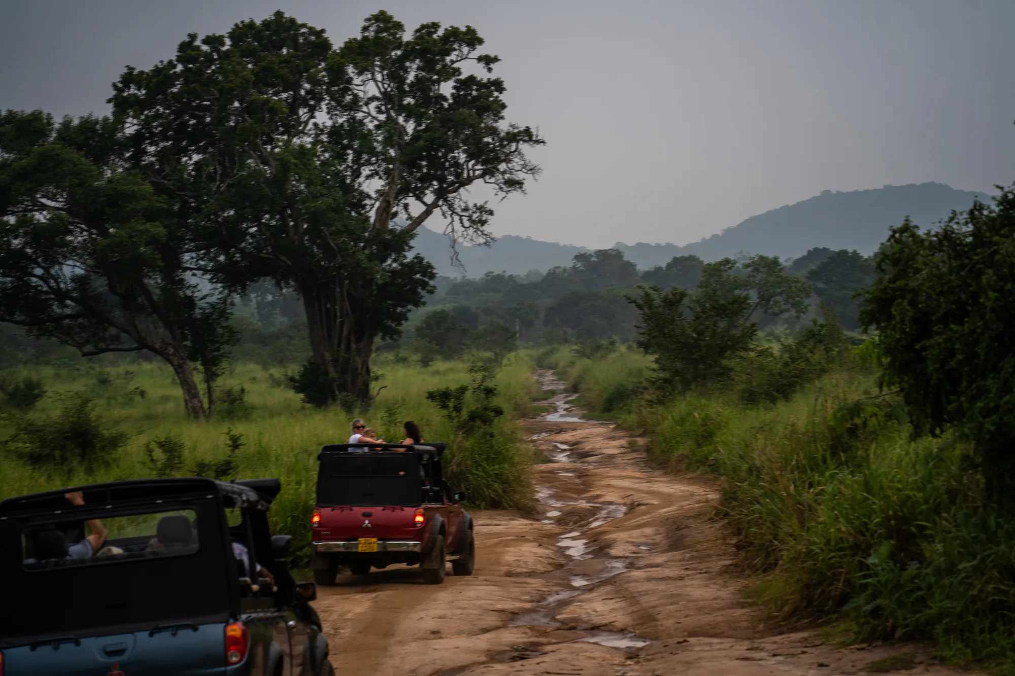 スリランカの自然豊かな風景を切り取った写真です。手前には幌付きの四輪駆動車が2台写っており、乗客が景色を眺めている様子が見えます。道は赤土で、雨水の跡が残り、荒れた道であることを示しています。道の両脇には緑が生い茂り、遠くには山々が霞んで見えます。空はどんよりとしており、少し湿った空気を感じさせます。全体的に落ち着いた雰囲気で、探検や冒険を想起させる写真です。
