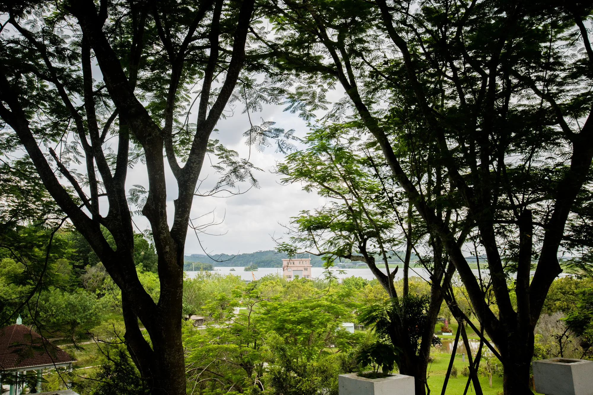 台湾の台南で撮影された写真です。画面全体を覆うように、手前の木々の枝や葉がフレームを形作っています。木々の間からは、湖とその向こう岸の緑が見えます。湖の中央には、ベージュ色の建物が建っており、その周りにも緑が生い茂っています。空は薄曇りで、全体的に穏やかな雰囲気です。手前の木々はシルエットになっており、奥行きを感じさせます。緑豊かな自然と、湖に浮かぶ建物が印象的な風景写真です。