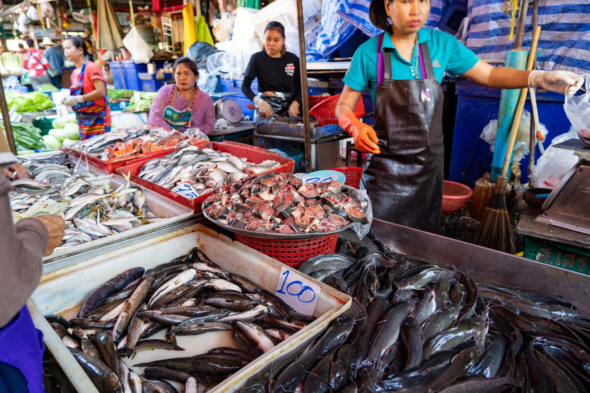 この写真はタイのバンコクで撮影された魚市場の様子を捉えています。画面全体には、様々な種類の魚が所狭しと並べられています。手前には、ナマズのような種類の魚が大量に積み重ねられており、その横には「100」と手書きされた値段表示が見えます。さらに奥には、輪切りにされた魚の切り身が山盛りにされており、新鮮さを強調しています。  市場で働く女性たちが写っており、一人はオレンジ色の手袋を着用し、黒いエプロン姿で魚を袋詰めにする作業をしています。別の女性は秤の前に立ち、魚を計量しているようです。周囲には、他の魚や野菜を販売する店もあり、市場の活気と多様性を感じさせます。全体的に活気があり、賑やかな雰囲気の市場であることが伝わってきます。