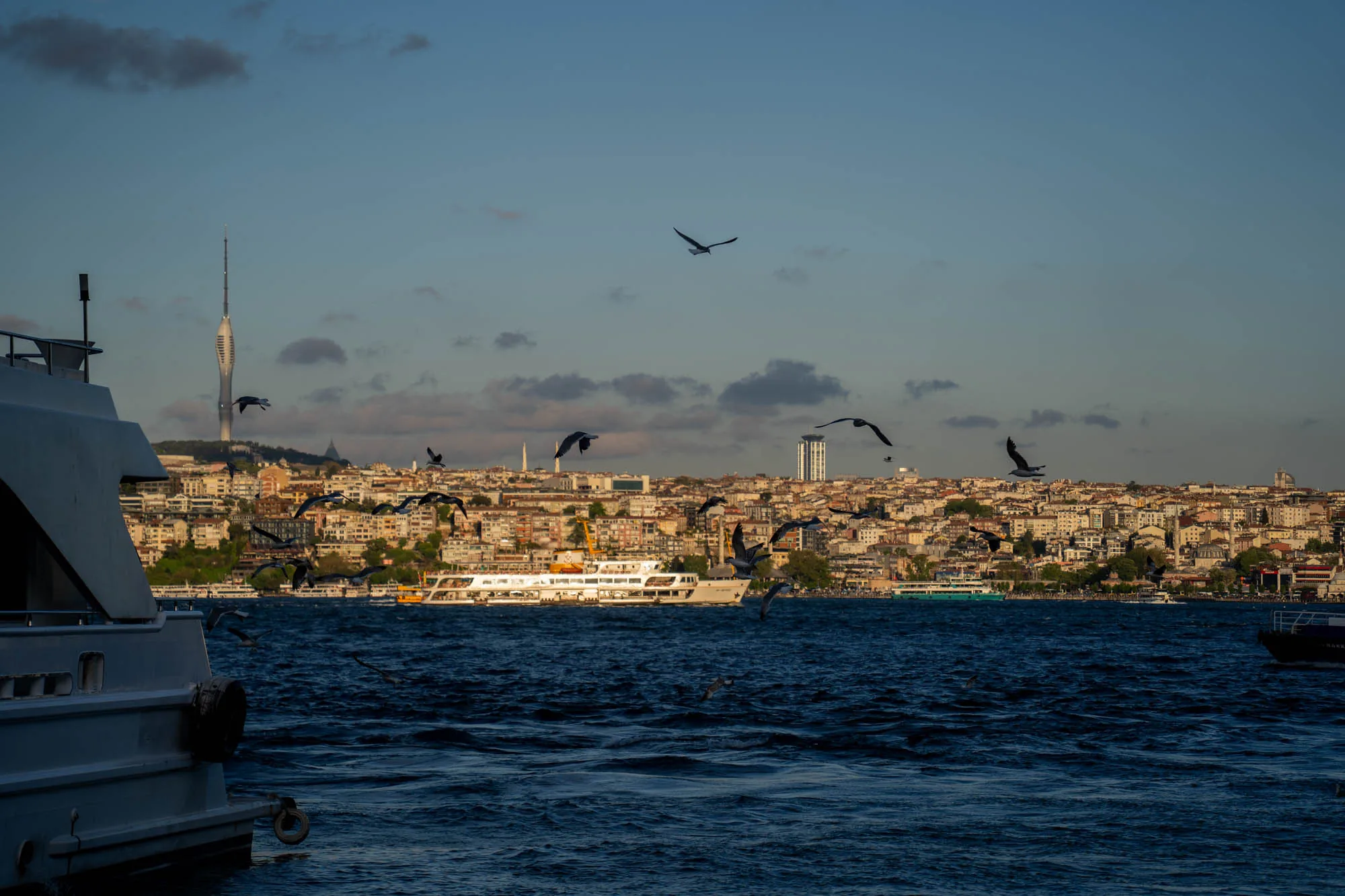 写真はトルコのイスタンブールで撮影されたものです。手前には水面が広がり、波が穏やかに揺れています。左側にはボートの一部が写っており、白い船体が印象的です。水面の上にはたくさんのカモメが飛び交い、活気ある様子を見せています。背景には、建物が密集した街並みが広がっており、様々な高さの建物が立ち並んでいます。その中には、特徴的な形をした高いテレビ塔や高層ビルも見えます。街並みは丘陵地に広がっており、建物の配置に変化があります。空は晴れており、夕暮れ時の穏やかな光が全体を照らしています。全体的に落ち着いた雰囲気で、イスタンブールの美しい風景が捉えられています。