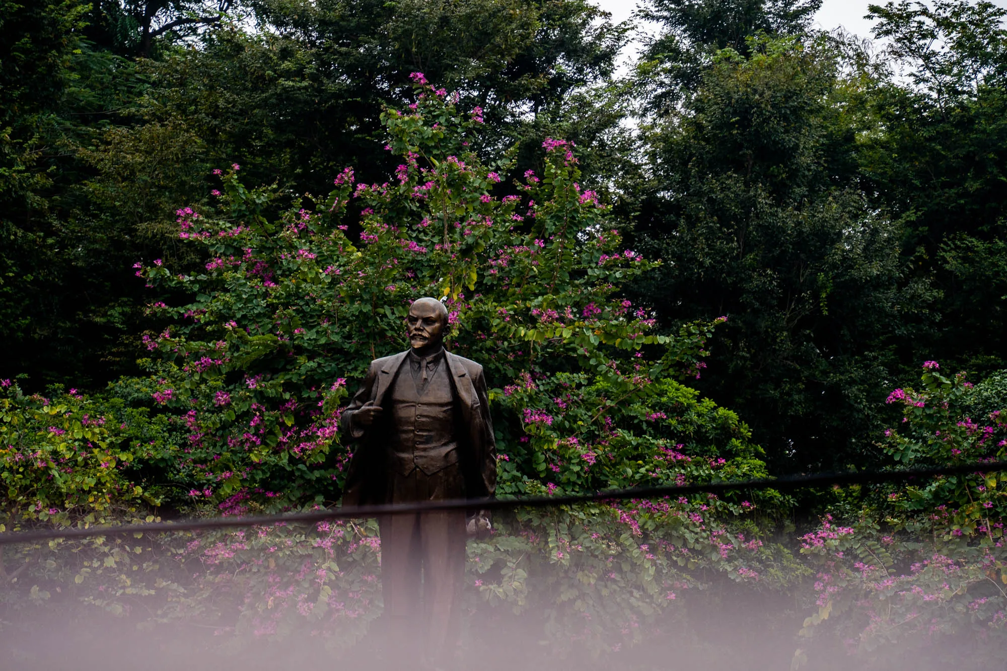 ベトナムのハノイで撮影された写真です。写真には、レーニンの像が写っています。像は周囲の緑豊かな木々と、ピンク色の花を咲かせている植物に囲まれています。像の足元には、ぼやけた前景があり、電線が横切っています。空は曇っているように見えます。レーニンの像と背景の自然が組み合わさった、独特な雰囲気の写真です。歴史的な要素と自然が同居する、ハノイならではの風景を捉えていると言えるでしょう。