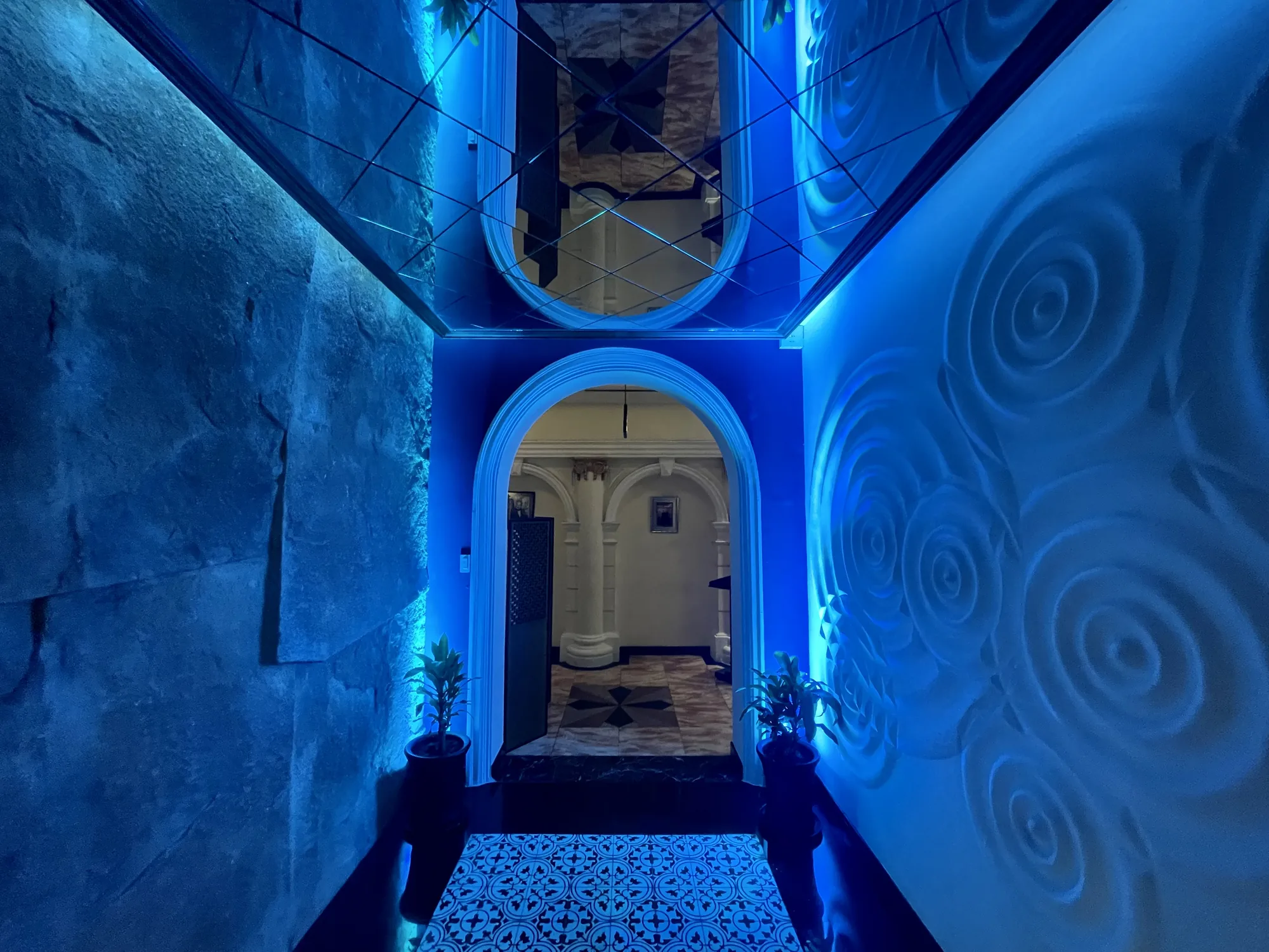 写真はベトナムのホーチミンで撮影されたもので、青色の照明が印象的な通路を捉えています。通路の入り口はアーチ状になっており、その先にはさらに奥へと続く空間が見えます。通路の壁は左右で異なり、片方は岩のような質感、もう片方には渦巻き模様が描かれています。天井には鏡が設置されており、通路の様子が反射して映し出されています。床には幾何学的な模様が施されたタイルが敷き詰められています。通路の両脇には鉢植えの植物が置かれ、空間に緑を添えています。全体的に青色の光が強調されており、神秘的で落ち着いた雰囲気を醸し出しています。
